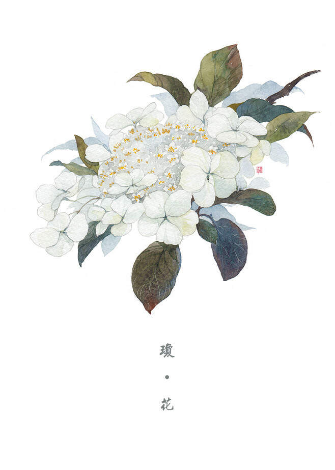 空山云起